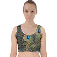 Peacock Tail Feathers Close Up Velvet Racer Back Crop Top by Pakrebo