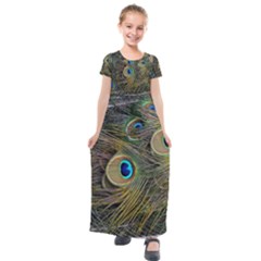 Peacock Tail Feathers Close Up Kids  Short Sleeve Maxi Dress by Pakrebo