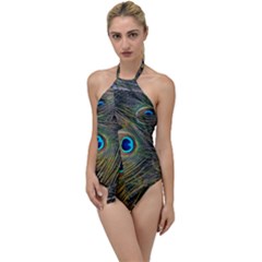 Peacock Tail Feathers Close Up Go With The Flow One Piece Swimsuit by Pakrebo