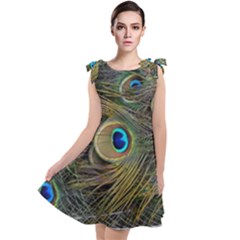 Peacock Tail Feathers Close Up Tie Up Tunic Dress