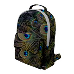 Peacock Tail Feathers Close Up Flap Pocket Backpack (large)