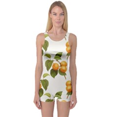 Apricot Fruit Vintage Art One Piece Boyleg Swimsuit by Pakrebo