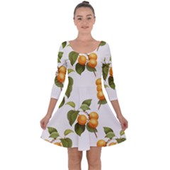 Apricot Fruit Vintage Art Quarter Sleeve Skater Dress by Pakrebo