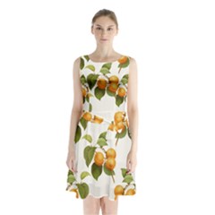 Apricot Fruit Vintage Art Sleeveless Waist Tie Chiffon Dress by Pakrebo