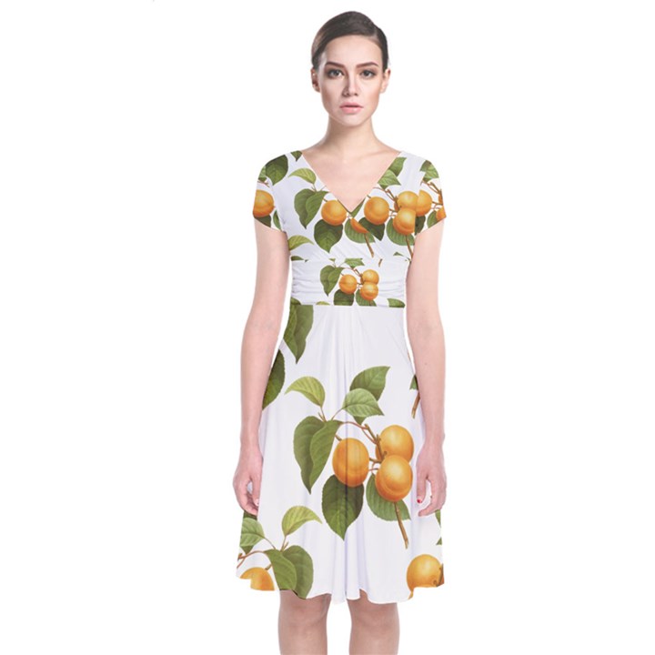 Apricot Fruit Vintage Art Short Sleeve Front Wrap Dress