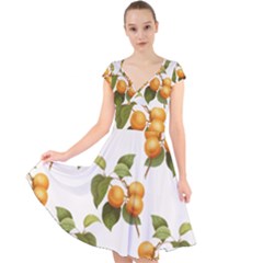 Apricot Fruit Vintage Art Cap Sleeve Front Wrap Midi Dress by Pakrebo