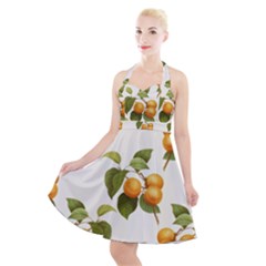 Apricot Fruit Vintage Art Halter Party Swing Dress  by Pakrebo