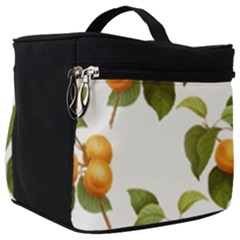 Apricot Fruit Vintage Art Make Up Travel Bag (big) by Pakrebo