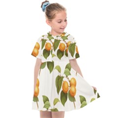 Apricot Fruit Vintage Art Kids  Sailor Dress by Pakrebo