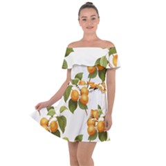 Apricot Fruit Vintage Art Off Shoulder Velour Dress by Pakrebo