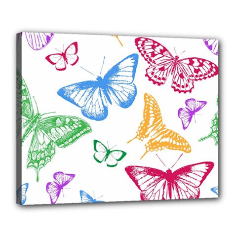 Butterfly Butterflies Vintage Canvas 20  X 16  (stretched) by Pakrebo