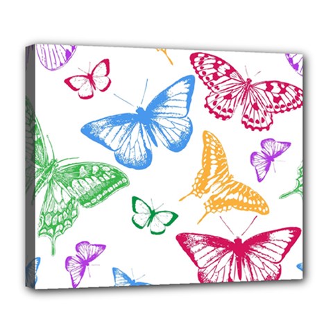 Butterfly Butterflies Vintage Deluxe Canvas 24  X 20  (stretched) by Pakrebo