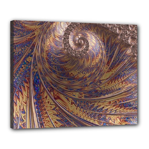 Swirl Fractal Fantasy Whirl Canvas 20  x 16  (Stretched)