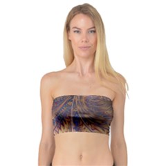 Swirl Fractal Fantasy Whirl Bandeau Top