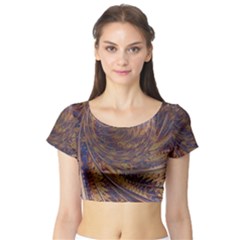 Swirl Fractal Fantasy Whirl Short Sleeve Crop Top