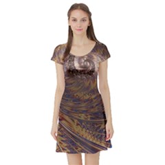 Swirl Fractal Fantasy Whirl Short Sleeve Skater Dress