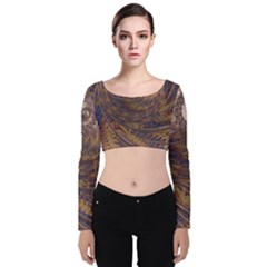 Swirl Fractal Fantasy Whirl Velvet Long Sleeve Crop Top