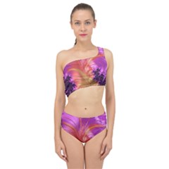 Fractal Puffy Feather Art Artwork Spliced Up Two Piece Swimsuit by Pakrebo