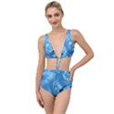 Fractal Art Feather Swirls Puffy Tied Up Two Piece Swimsuit View1