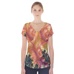 Fractal Feather Artwork Art Short Sleeve Front Detail Top by Pakrebo