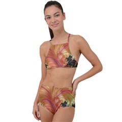 Fractal Feather Artwork Art High Waist Tankini Set