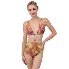 Fractal Feather Artwork Art Tied Up Two Piece Swimsuit