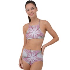 Pink Blue Flower Blossom Rose High Waist Tankini Set by Pakrebo