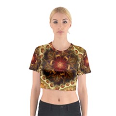 Dawn Day Fractal Sunny Gold Red Cotton Crop Top by Pakrebo