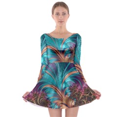 Feather Fractal Artistic Design Long Sleeve Skater Dress by Pakrebo