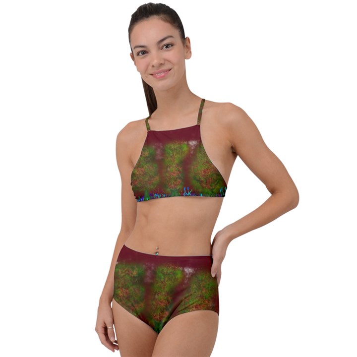 Trees High Waist Tankini Set