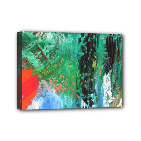 Garden 2 Mini Canvas 7  X 5  (stretched) by WILLBIRDWELL