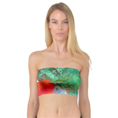 Garden 2 Bandeau Top