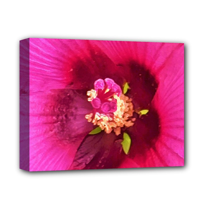 Deep Pink And Crimson Hibiscus Flower Macro Deluxe Canvas 14  x 11  (Stretched)