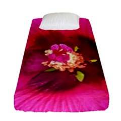 Deep Pink And Crimson Hibiscus Flower Macro Fitted Sheet (single Size) by myrubiogarden