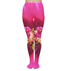 Deep Pink And Crimson Hibiscus Flower Macro Tights