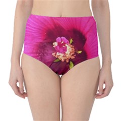 Deep Pink And Crimson Hibiscus Flower Macro Classic High-waist Bikini Bottoms by myrubiogarden