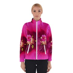 Deep Pink And Crimson Hibiscus Flower Macro Winter Jacket