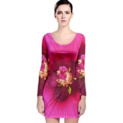 Deep Pink And Crimson Hibiscus Flower Macro Long Sleeve Velvet Bodycon Dress