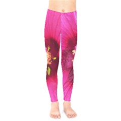 Deep Pink And Crimson Hibiscus Flower Macro Kids  Legging by myrubiogarden