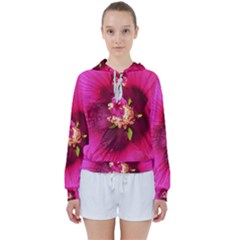 Deep Pink And Crimson Hibiscus Flower Macro Women s Tie Up Sweat