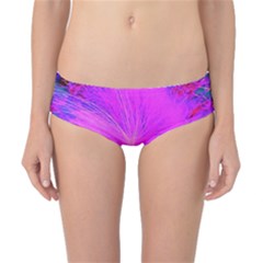 Psychedelic Purple Garden Milkweed Flower Classic Bikini Bottoms by myrubiogarden