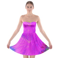 Psychedelic Purple Garden Milkweed Flower Strapless Bra Top Dress by myrubiogarden