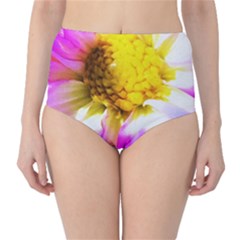 Purple, Pink And White Dahlia With A Bright Yellow Center Classic High-Waist Bikini Bottoms