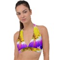 Purple, Pink And White Dahlia With A Bright Yellow Center Halter Plunge Bikini Top View1