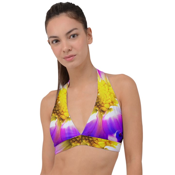 Purple, Pink And White Dahlia With A Bright Yellow Center Halter Plunge Bikini Top