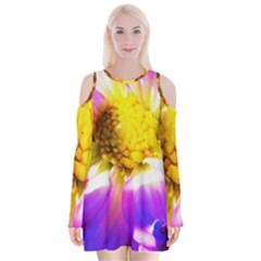 Purple, Pink And White Dahlia With A Bright Yellow Center Velvet Long Sleeve Shoulder Cutout Dress