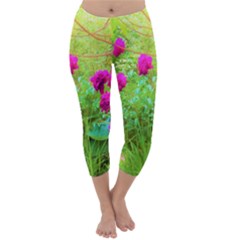 Impressionistic Purple Peonies With Green Hostas Capri Winter Leggings 