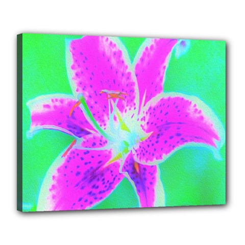 Hot Pink Stargazer Lily On Turquoise Blue And Green Canvas 20  X 16  (stretched) by myrubiogarden