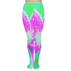 Hot Pink Stargazer Lily On Turquoise Blue And Green Tights