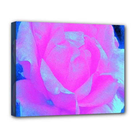 Beautiful Pastel Pink Rose With Blue Background Deluxe Canvas 20  X 16  (stretched) by myrubiogarden